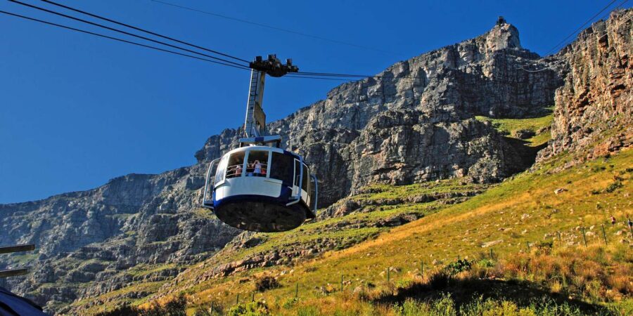 Table Mountain & Cape Town City Half Day Guided Tour - Company Gardens: A pause between old stories and market noise
