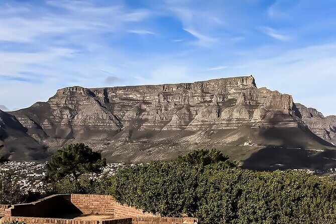 Table Mountain, Chapmans Peak Drive, Cape Point & Penguins - Price and logistics: what you’re really paying for
