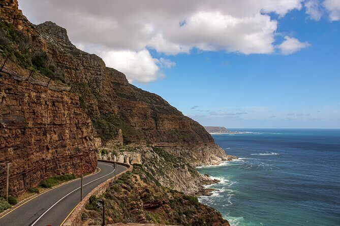 Table Mountain, Chapmans Peak Drive, Cape Point & Penguins - Boulders Beach penguins: why this stop is the day’s emotional high point