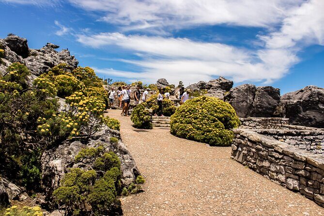 Table Mountain, Chapmans Peak Drive, Cape Point & Penguins - Cape Point and the Cape of Good Hope area: birds, baboons, and sweeping seascapes