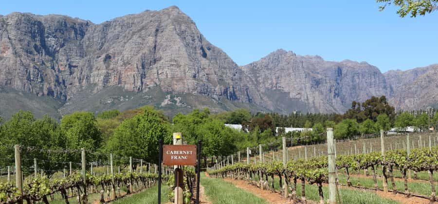 Table Mountain & Constantia Wine Estate Private Combo Tour - Key Things I’d Focus On Before You Go