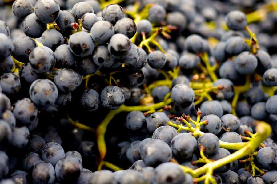 Table Mountain & Constantia Wine Estate Private Combo Tour - Price and Value: Why $210 Can Make Sense (If You Want This Exact Mix)