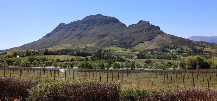 Table Mountain & Constantia Wine Estate Private Combo Tour - Who This Tour Suits Best