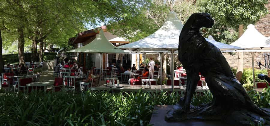 Table Mountain & Constantia Wine Estate Private Combo Tour - Pickup, Private Vehicle, and the Guide Who Makes the Stories Click