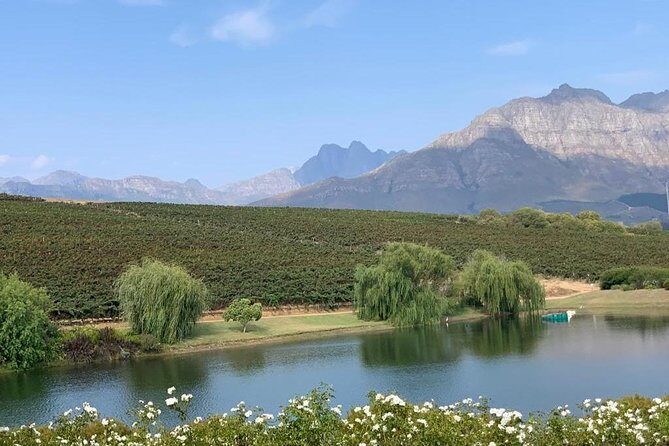Table Mountain & Constantia Wine Tasting Full Day Tour. - Lunch on Groot Constantia: eat where the view already does the work