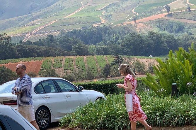 Table Mountain & Constantia Wine Tasting Full Day Tour. - Value check: why $225.04 can be fair (or not)