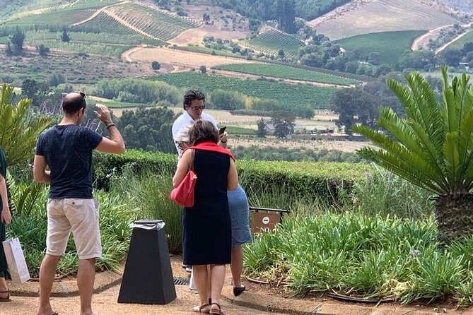 Table Mountain & Constantia Wine Tasting Full Day Tour. - Who this tour fits best
