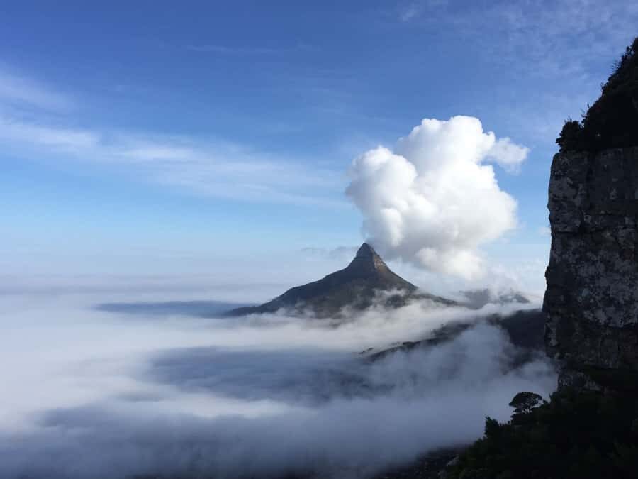 Table Mountain: Easy walk for the Whole Family - PRIVATE - Key Things You’ll Notice on This Table Mountain Walk