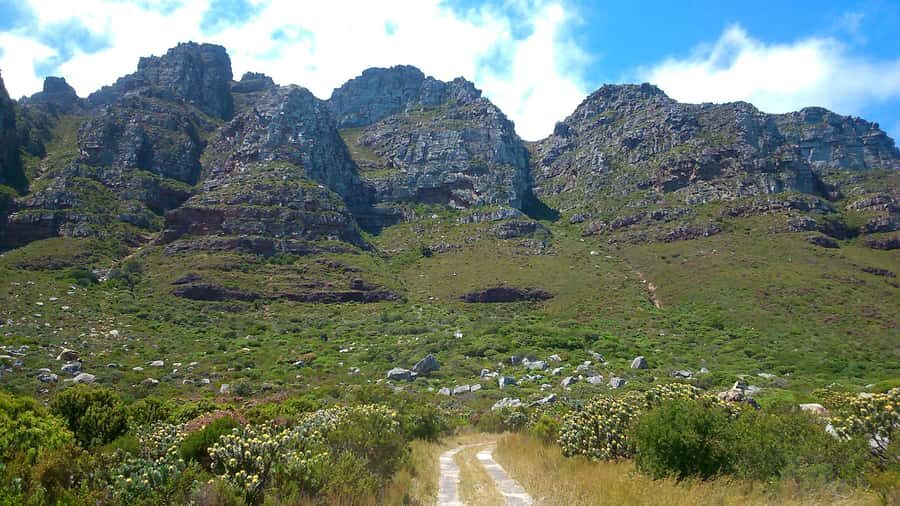Table Mountain: Easy walk for the Whole Family - PRIVATE - Why the Camps Bay Pipe Track Works for Families