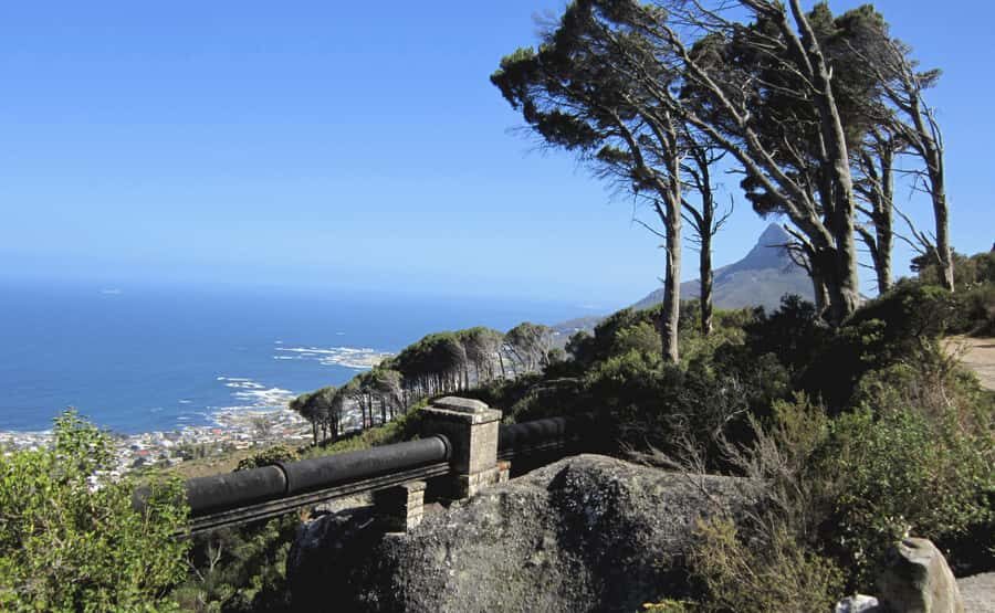 Table Mountain: Easy walk for the Whole Family - PRIVATE - Following the Pipe Track Above Camps Bay