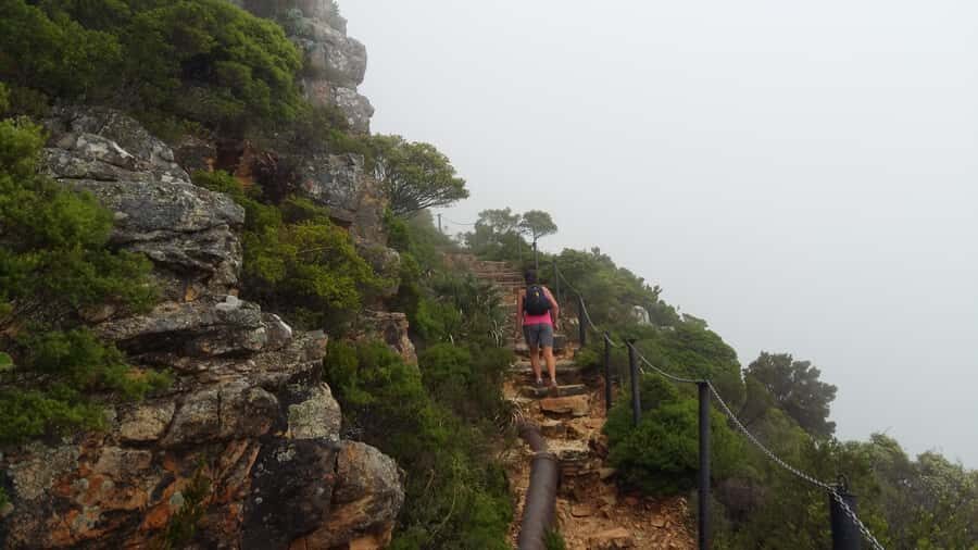 Table Mountain: Easy walk for the Whole Family - PRIVATE - View Stops, Benches, and the Art of Not Rushing