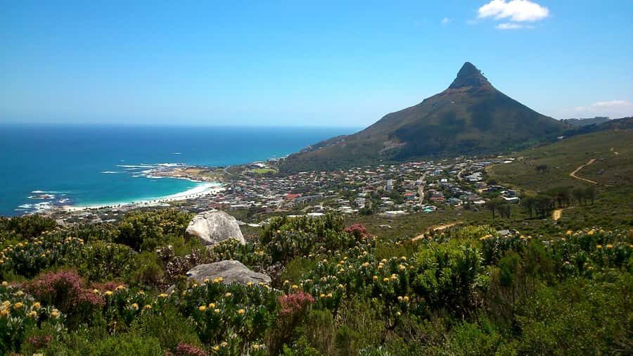 Table Mountain: Easy walk for the Whole Family - PRIVATE - Starting at Kloof Nek: A Quick Setup for a Smooth Morning