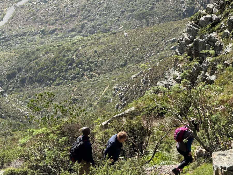 Table Mountain Group Hike - Solo Travelers welcome - Platteklip Gorge: Why This Route Gets Chosen