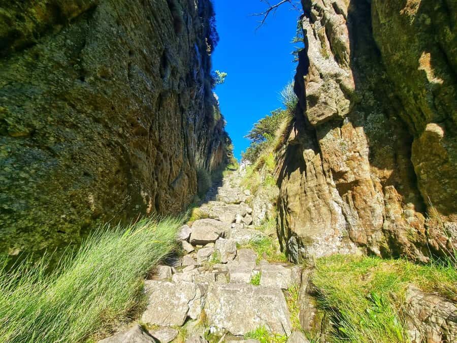 Table Mountain Group Hike - Solo Travelers welcome - Summit Views and Finishing at Upper Cable Car Station