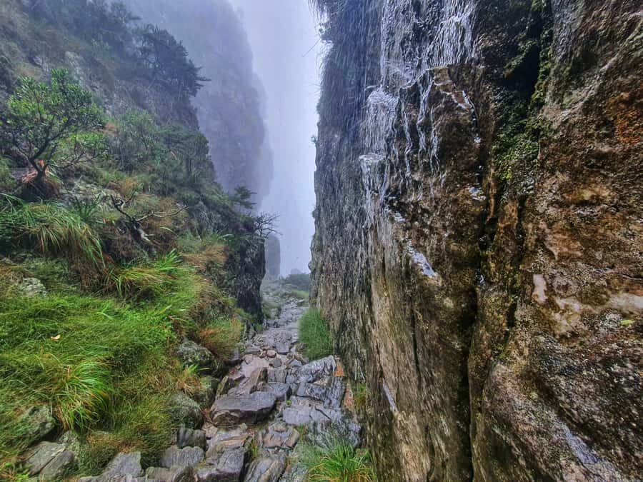 Table Mountain Group Hike - Solo Travelers welcome - What to Bring (So You Don’t Regret It Mid-Climb)