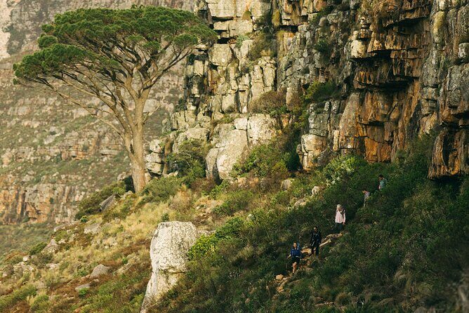 Table Mountain Guided Hike-epic adventure for all fitness levels - Weather and mist: how to set expectations and still get results