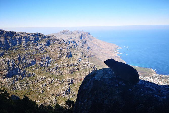 Table Mountain Half Day Hike: India Venster Trail - Who should book this hike (and who might skip it)