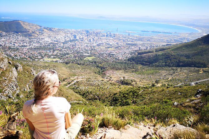 Table Mountain Half Day Hike: Platteklip Gorge - Reaching the Tabletop Summit: Views, Nature Stops, and Time to Catch Your Breath