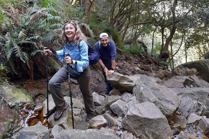 Table Mountain Hike (All routes) - Private Tour - Kirstenbosch and the Skeleton Gorge area: how the day gets its mood