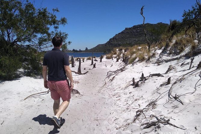Table Mountain Hike (All routes) - Private Tour - Picnics on the mountain: snacks that keep you human