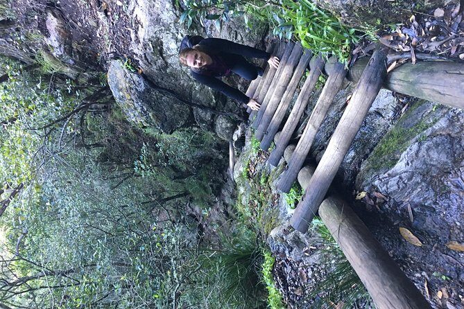 Table Mountain Hike (All routes) - Private Tour - Weather reality on Table Mountain: when wind and runoff decide your limit