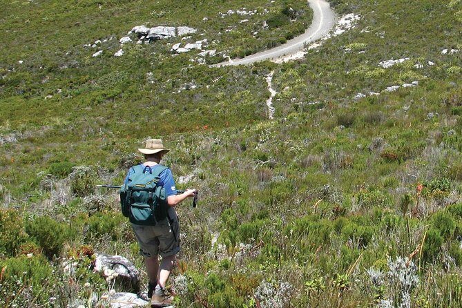 Table Mountain Hike from Cape Town - Up the Stone Steps: What the Climb Really Feels Like