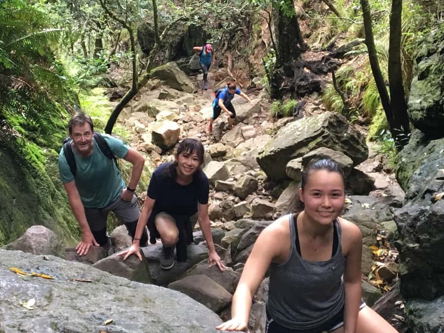Table Mountain Hike with Local Tour Guide - Pickup, Drop-Off, and the Cable Car Variable