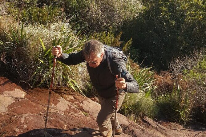 Table Mountain Hiking - Weather reality: why this hike isn’t just “set and forget”