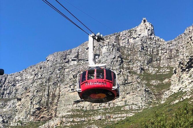 Table Mountain & Mandela Freedom Full Day Tour - Price and Value: Is $200.54 Worth It?