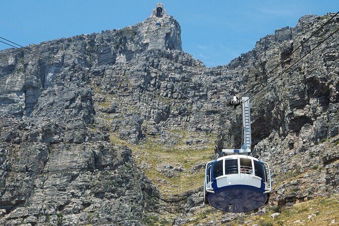 Table Mountain, Penguin,Cape Point Private Day Tour in Cape Town - Key things to know before you go