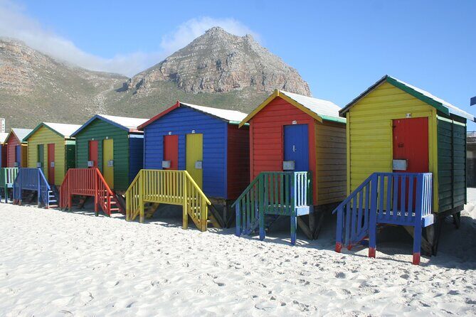 Table Mountain, Penguin,Cape Point Private Day Tour in Cape Town - Cape of Good Hope to Cape Point: cliffs, lighthouse views, and safe wildlife spotting