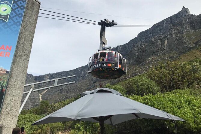 Table Mountain, Penguins and Cape Point Sharing GroupTour - A Full-Day Route That Packs Cape Town’s Best Hits