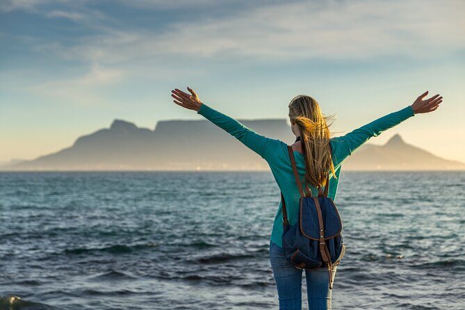 Table Mountain, Penguins, Cape of good hope and Stellenbosch tour - Price and Logistics: does this $210.80 per person make sense?