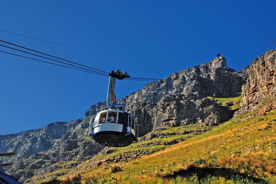 Table Mountain, Penguins & Cape of good hope full day Tour - Bo-kaap Before the Heights: Colorful Streets, Easy Orientation