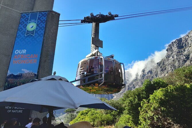 Table Mountain, Penguins, Cape of Good Hope: Private Tour - Key points to know before you go