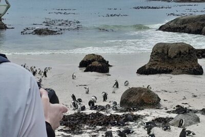 Table Mountain, Penguins & Cape of Good Hope Private Tour - Table Mountain Cableway: The Best “First Wow” Stop