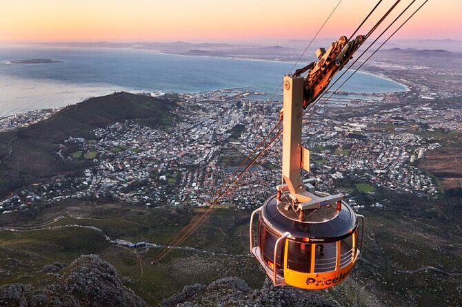 Table Mountain, Penguins & Cape of Good Hope Small Group Tour - Key points I’d plan around
