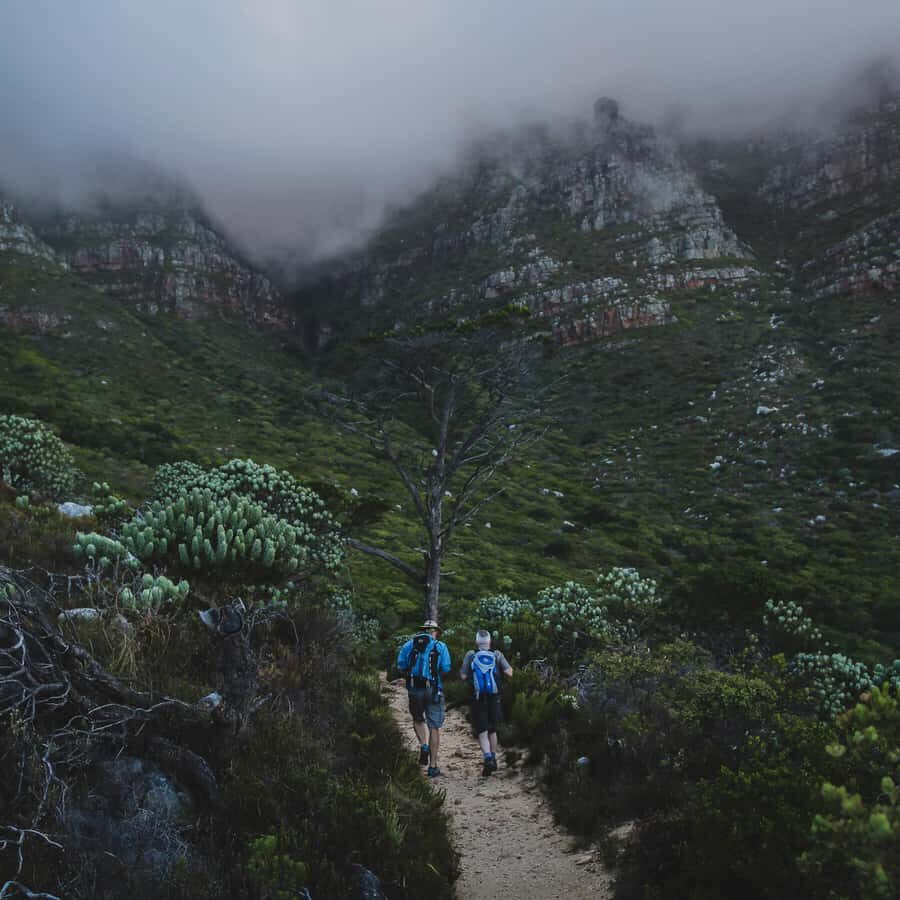 Table Mountain: Skeleton Gorge Hike - Hely-hutchinson Reservoir: the swim and jump break