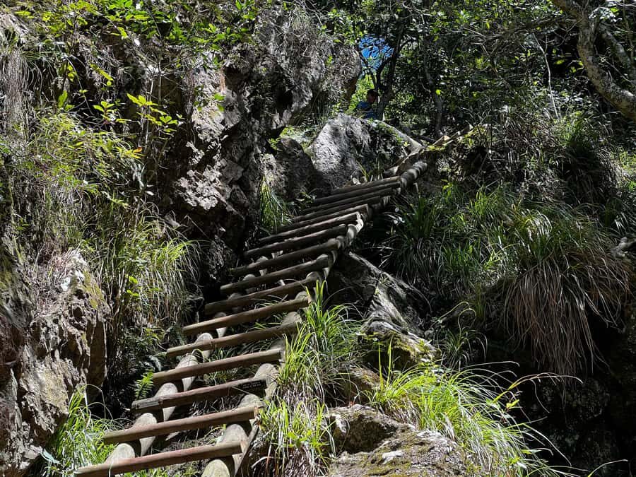 Table Mountain: Skeleton Gorge Hike - Skeleton Gorge up to Table Mountain: ladders, possible waterfall, and big views