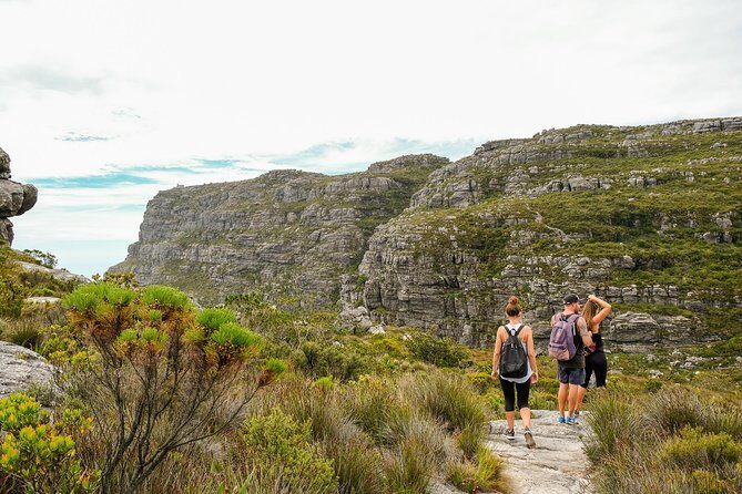 Table Mountain Summit Hike via Kasteelspoort - The Big View Payoff: Camp’s Bay and the 12 Apostles Range