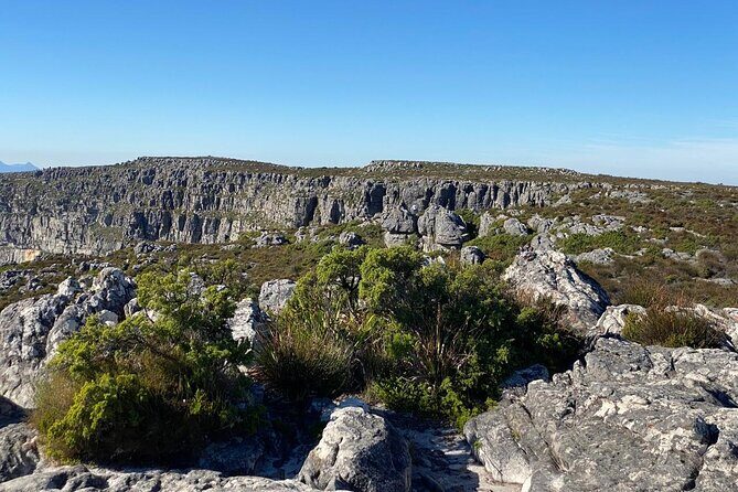 Table Mountain Tour including Pick Up & Drop Off from Cape Town - Guide matters: Venuste Kanyamibwa and what a good host adds