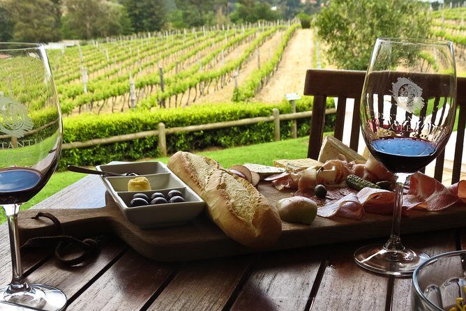 Table Mountain-Wines-Penguins-Cape Point All Inclusive Group Tour - Cape Point Vineyards tasting: included, timed, and worth using