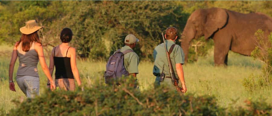 Tala Game Reserve & Natal Lion Park 1/2 Day Tour from Durban - What you can realistically spot at Tala (and why it matters)