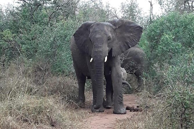 Tala Game reserve. Natal Lion Park and Valley of 1000 hills - Durban Wildlife Day: Natal Lion Park to Tala Game Reserve