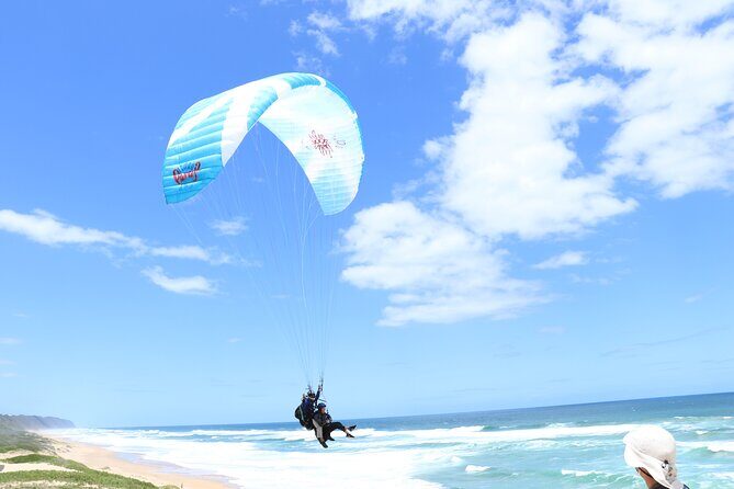 Tandem Paragliding Wilderness South Africa - The 30-Minute Flow: From Indemnity to Touchdown