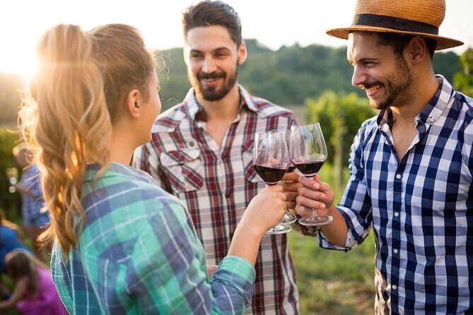 Taste + Tram the Winelands Tour: Franschhoek, Stellenbosch, Paarl - A Small-Group Winelands Day From Cape Town
