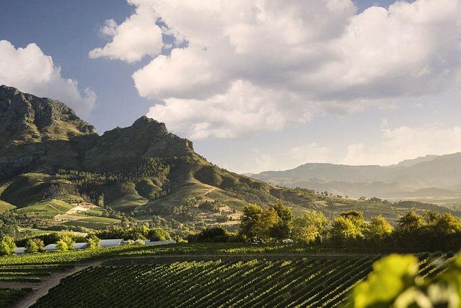 Taste + Tram the Winelands Tour: Franschhoek, Stellenbosch, Paarl - Price and Value: Why $189.79 Can Make Sense