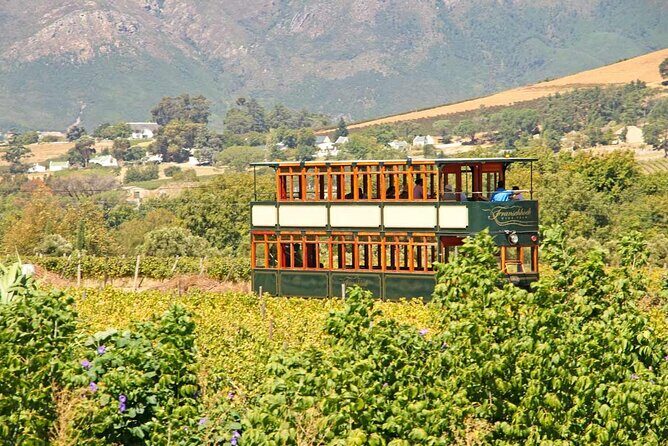 Taste + Tram the Winelands Tour: Franschhoek, Stellenbosch, Paarl - Practical Tips for a Smooth Day