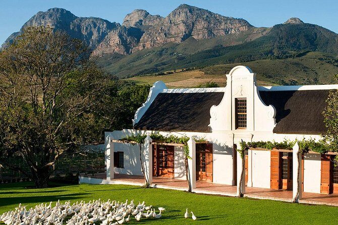 Tastes of Stellenbosch Wine Full Day Tour with Private Transfer - Key highlights to know before you go