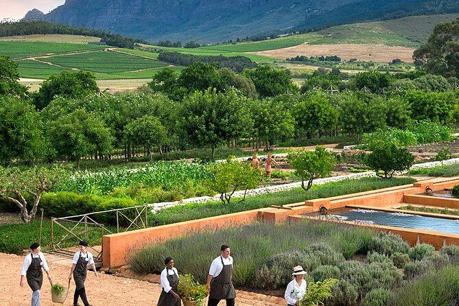 Tastes of Stellenbosch Wine Full Day Tour with Private Transfer - What your guide adds (and why names matter)
